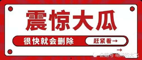 娛樂(lè)圈吃瓜合集文案,揭秘明星幕后故事與八卦傳聞