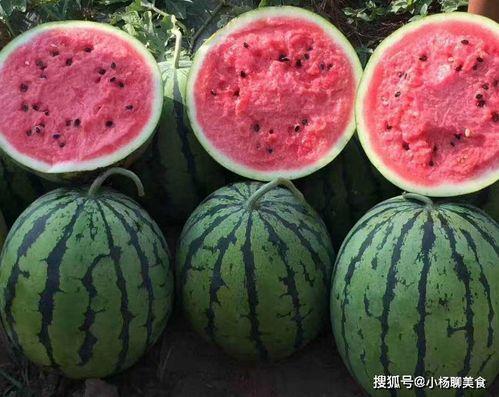 笑不活了娛樂吃瓜醬,笑不活了！娛樂吃瓜醬帶你揭秘娛樂圈那些鮮為人知的幕后故事