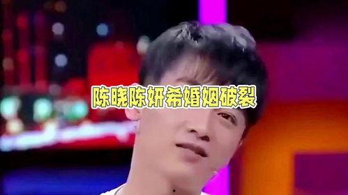 娛樂圈吃瓜情報局陳曉,娛樂圈吃瓜情報局揭秘，明星背后的故事