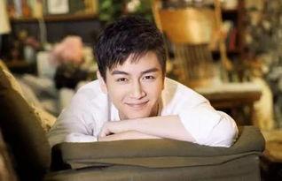 娛樂圈吃瓜情報局陳曉,娛樂圈吃瓜情報局揭秘，明星背后的故事