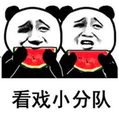 娛樂搞笑吃瓜,吃瓜群眾笑翻天！