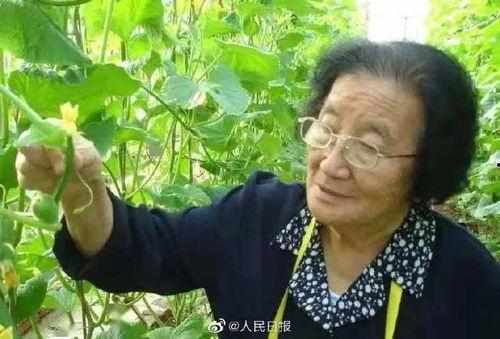 娛樂(lè)吃瓜君說(shuō)二豆,二豆背后的故事與真相
