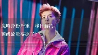 娛樂(lè)吃瓜小故事視頻播放,熱門(mén)視頻背后的故事