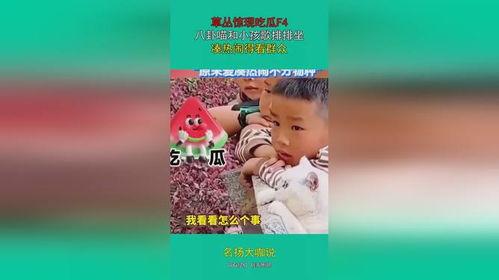 娛樂(lè)吃瓜群眾歌曲大全,歌曲大全盤(pán)點(diǎn)