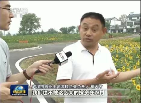 快樂吃瓜娛樂新聞視頻在線觀看,熱門吃瓜娛樂新聞視頻在線觀看指南