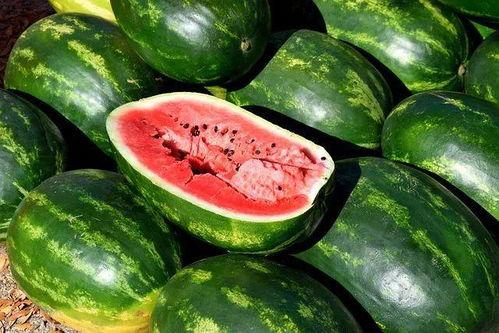 吃瓜娛樂(lè)圈圖畫(huà)高清版,高清版“吃瓜”圖鑒揭秘