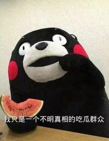 小喵娛樂吃瓜,揭秘娛樂圈最新吃瓜事件，帶你領略明星幕后故事