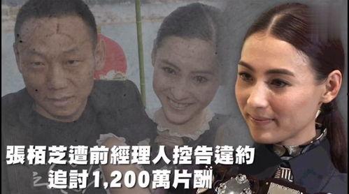 娛樂吃瓜的配音是什么,那些幕后聲音的幕后故事